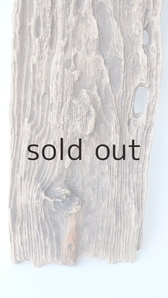 画像2: 板流木 (2)