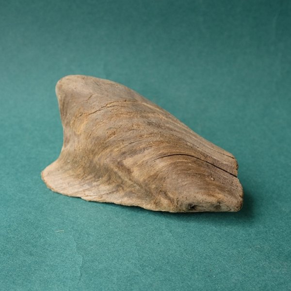 画像4: 変形流木 (4)