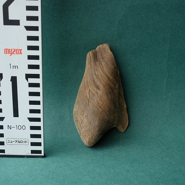 画像2: 変形流木 (2)