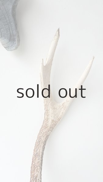 画像4: デコール用二ホンジカの角 (4)