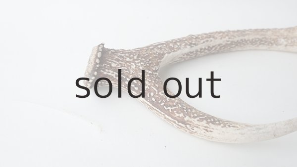 画像5: デコール用二ホンジカの角 (5)