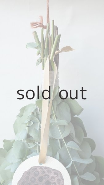 画像2: Dry plants for decor ユーカリ2種シンプルスワッグ (2)