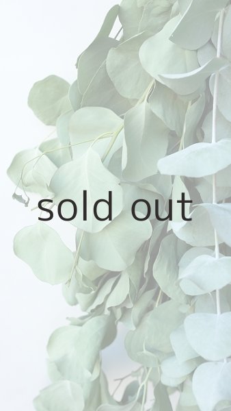 画像3: Dry plants for decor ユーカリ2種シンプルスワッグ (3)