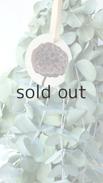 画像3: Dry plants for decor ユーカリ2種シンプルスワッグ (3)