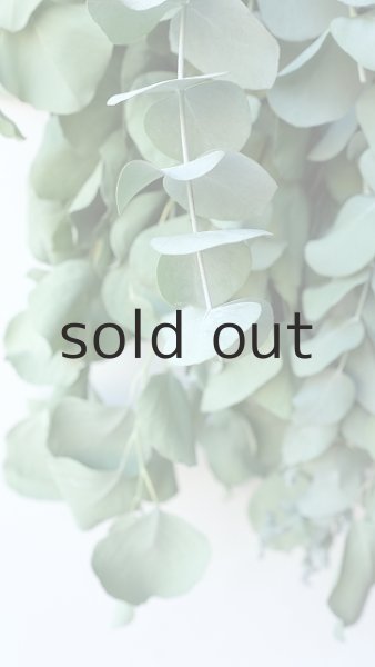 画像4: Dry plants for decor ユーカリ2種シンプルスワッグ (4)