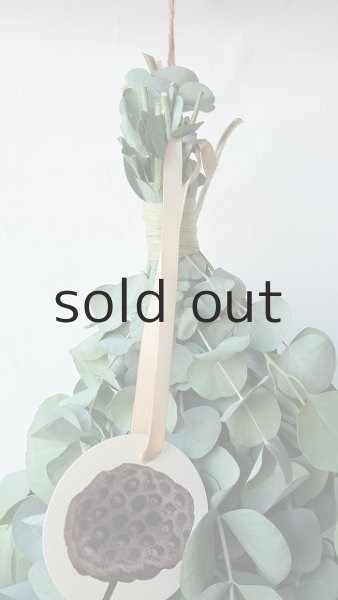 画像2: Dry plants for decor ユーカリ2種シンプルスワッグ (2)