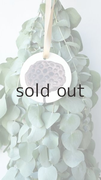 画像3: Dry plants for decor ユーカリ2種シンプルスワッグ (3)