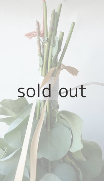 画像2: Dry plants for decor ユーカリ2種シンプルスワッグ (2)