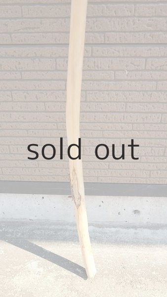 画像2: 棒流木・長尺 (2)