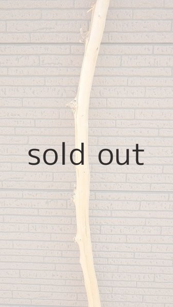 画像3: 棒流木・長尺 (3)