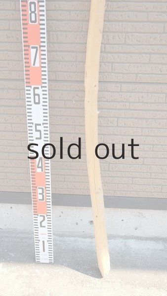 画像6: 棒流木・長尺 (6)