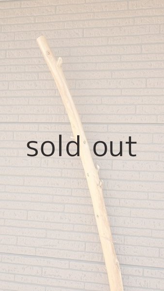 画像4: 棒流木・長尺 (4)