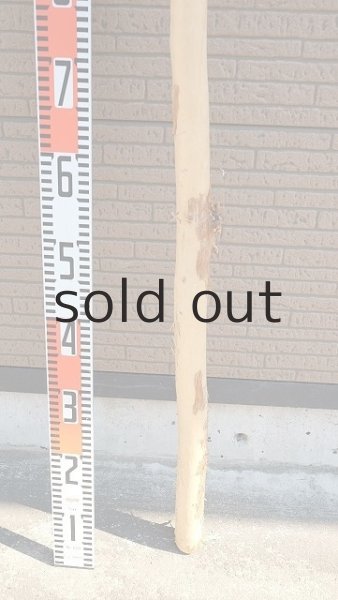 画像6: 棒流木・長尺 (6)