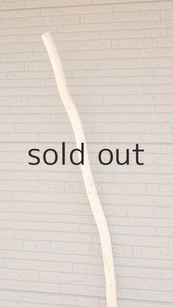 画像4: 棒流木・長尺 (4)