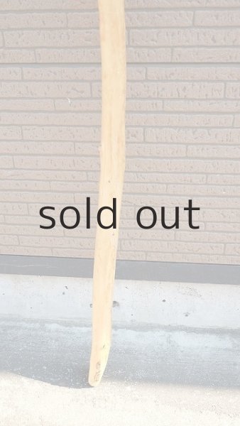 画像2: 棒流木・長尺 (2)