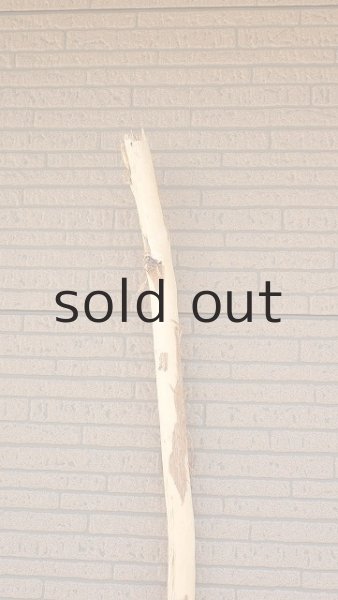 画像5: 棒流木・長尺 (5)