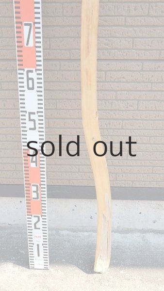 画像5: 棒流木・長尺 (5)