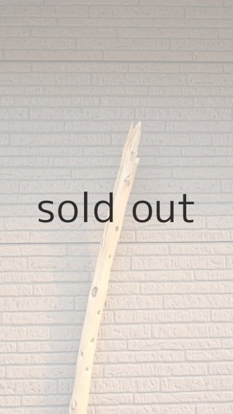 画像5: 棒流木・長尺 (5)