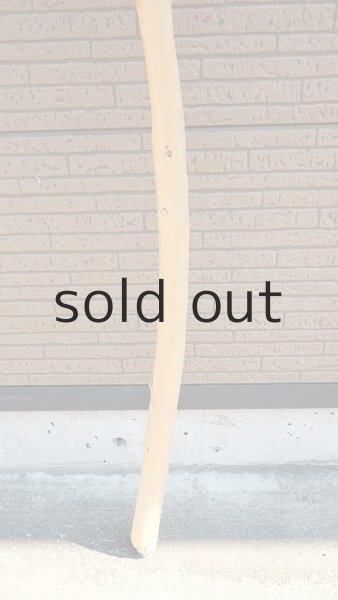 画像2: 棒流木・長尺 (2)