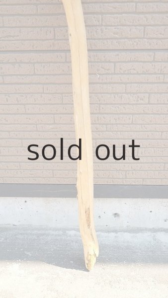 画像2: 棒流木・長尺 (2)