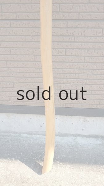 画像2: 棒流木・長尺 (2)