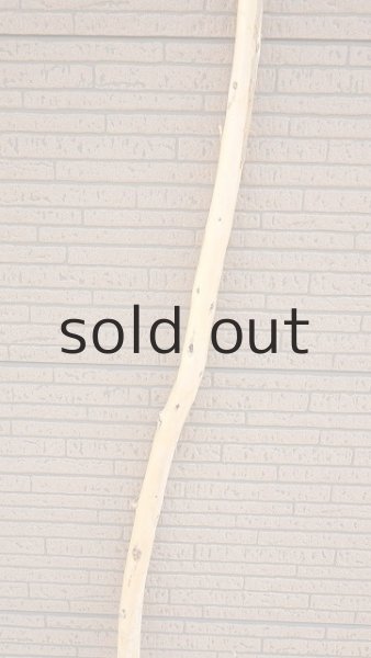 画像3: 棒流木・長尺 (3)