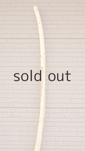 画像4: 棒流木・長尺 (4)