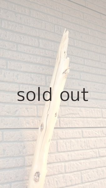 上部、20cmほどがひび割れています。