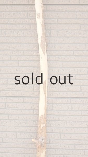 画像4: 棒流木・長尺 (4)