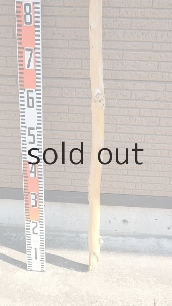 画像5: 棒流木・長尺 (5)