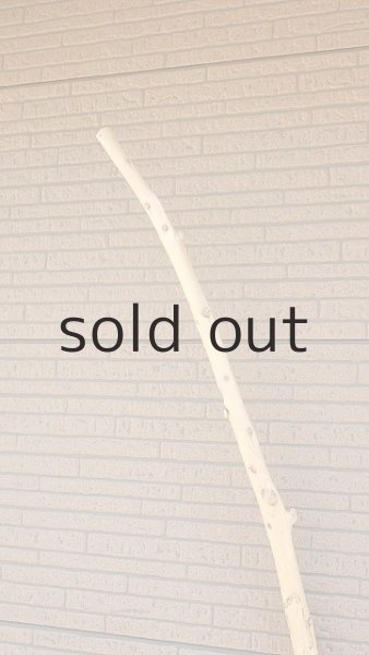 画像5: 棒流木・長尺 (5)