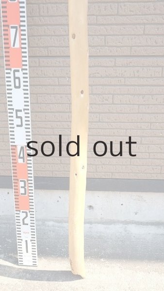 画像6: 棒流木・長尺 (6)