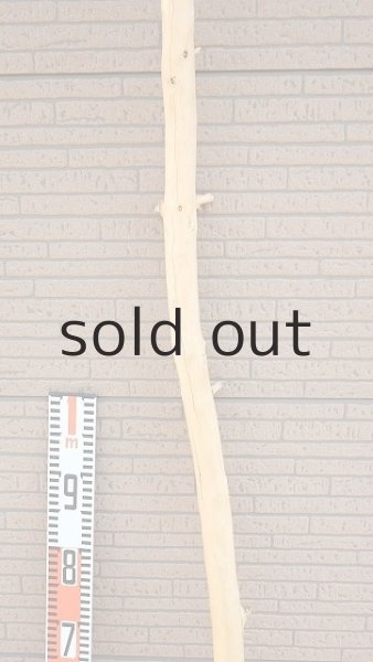 画像7: 棒流木・長尺 (7)