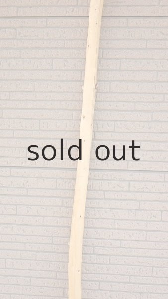 画像4: 棒流木・長尺 (4)