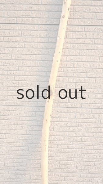 画像3: 棒流木・長尺 (3)