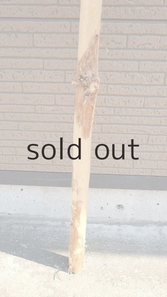 画像2: 棒流木・長尺 (2)