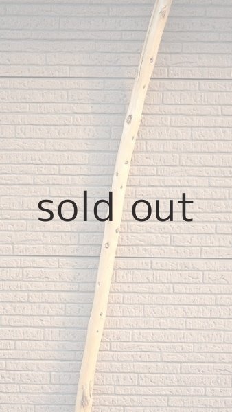 画像4: 棒流木・長尺 (4)