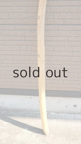 画像2: 棒流木・長尺 (2)