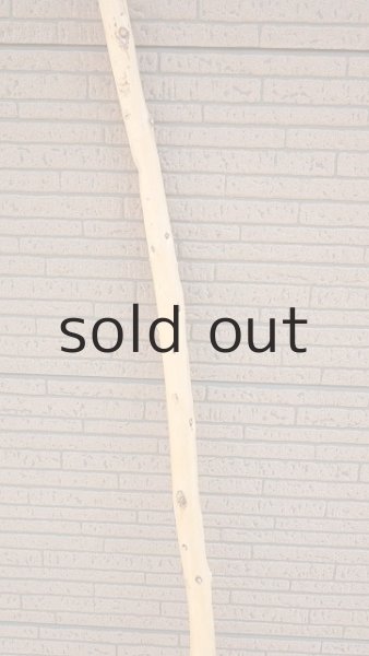 画像3: 棒流木・長尺 (3)