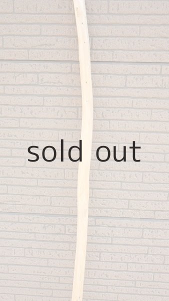 画像3: 棒流木・長尺 (3)