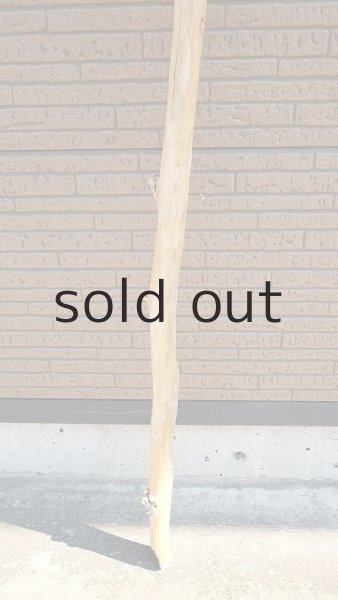 画像2: 棒流木・長尺 (2)