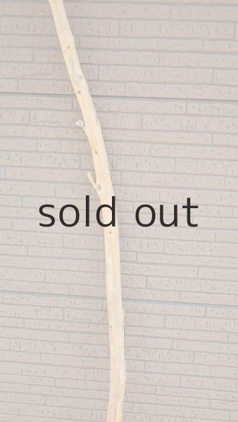 画像3: 棒流木・長尺 (3)