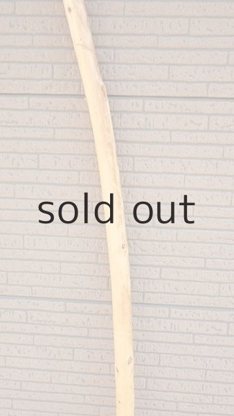 画像3: 棒流木・長尺 (3)