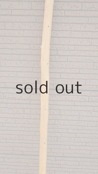 画像3: 棒流木・長尺 (3)