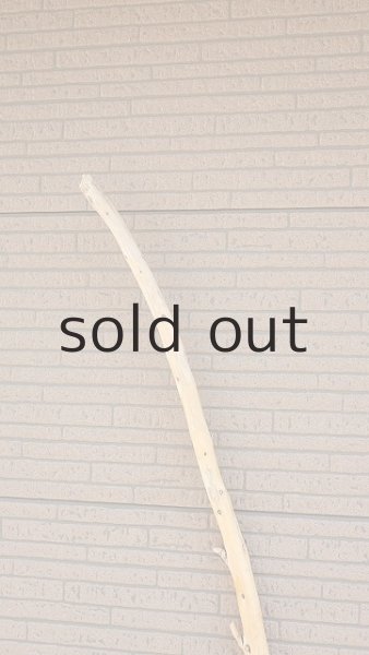 画像4: 棒流木・長尺 (4)