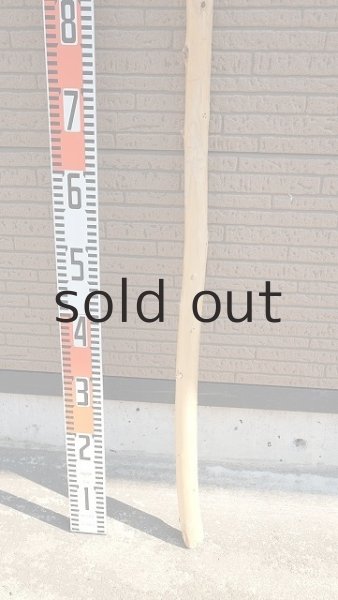 画像5: 棒流木・長尺 (5)