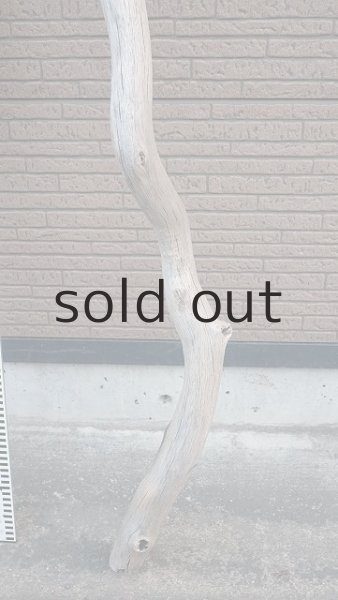 画像5: 幹流木・長尺 (5)