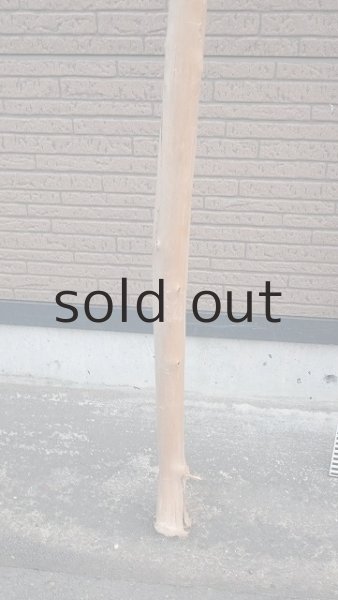 画像7: 幹流木・長尺 (7)