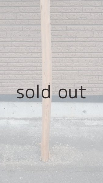 画像2: 幹流木・長尺 (2)