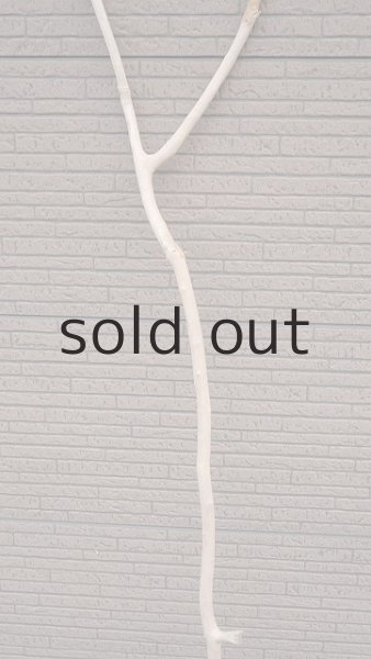 画像3: 幹流木・長尺 (3)